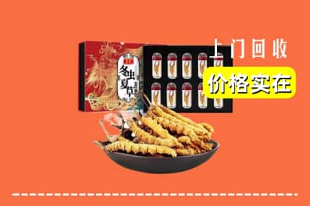 康保县回收冬虫夏草