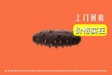 康保县回收海参