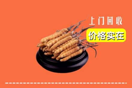 康保县回收冬虫夏草